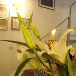 Bed and Breakfast Le Stanze Di Torcicoda 3*