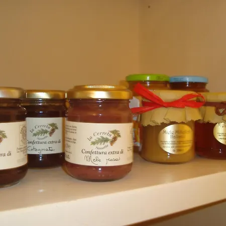 Bed & Breakfast Le Stanze Di Torcicoda