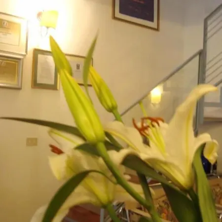 Bed & Breakfast Le Stanze Di Torcicoda 3*