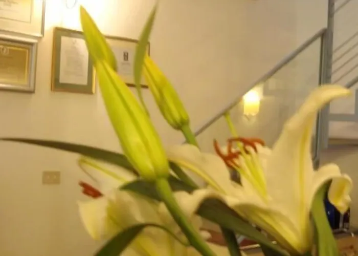 Panzió Le Stanze Di Torcicoda 3*